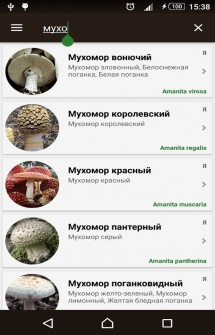 Приложение - справочник грибов на Android