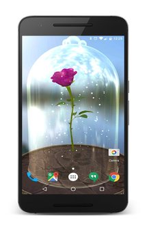 Живые обои - Роза под стеклянным куполом на Android