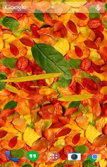 Осенние листья 3D
