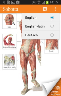 Sobotta Anatomy Atlas