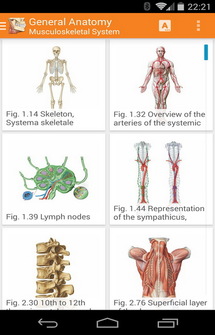 Sobotta Anatomy Atlas